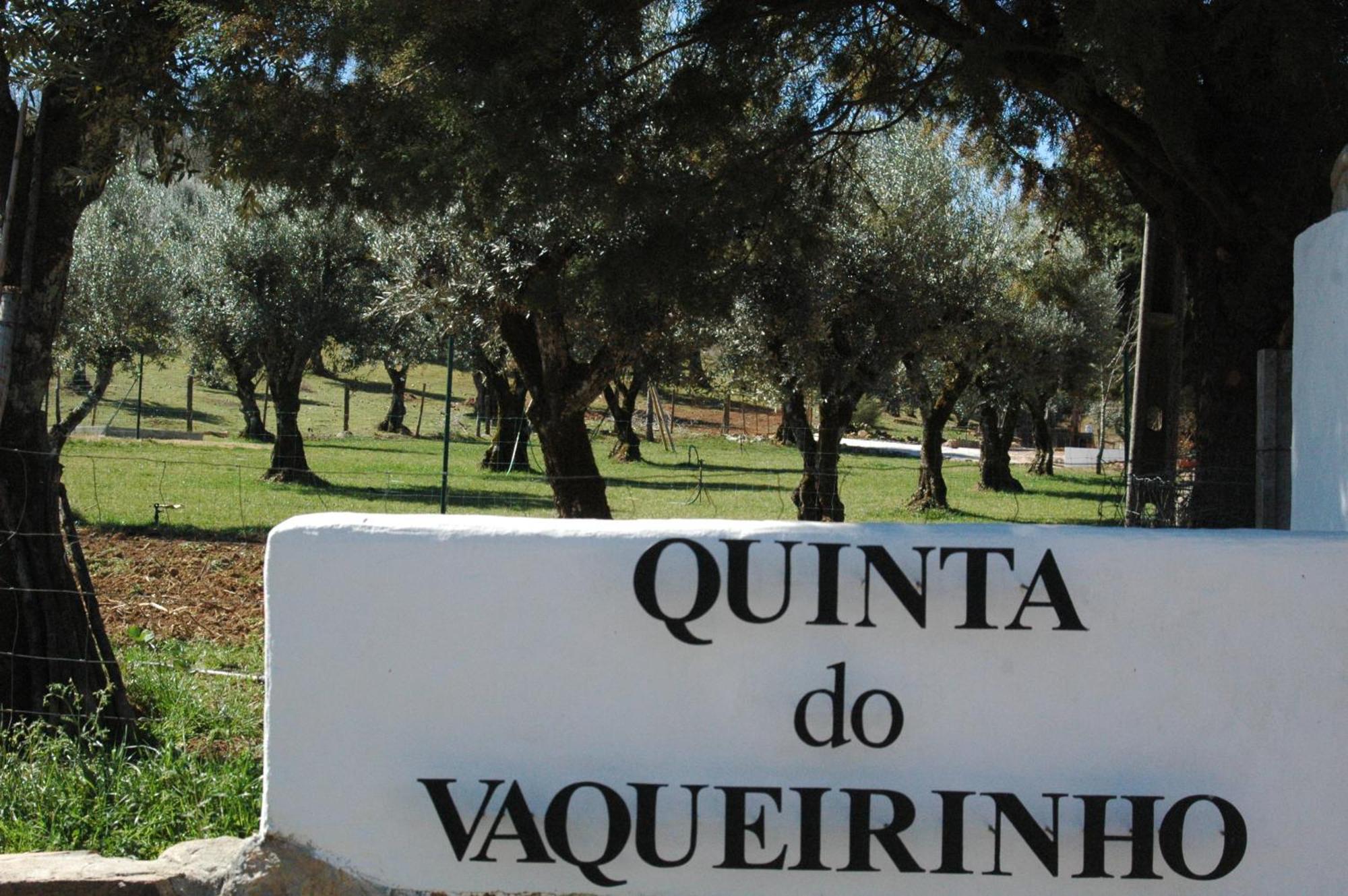 Quinta Do Vaqueirinho - Agro-Turismo Villa Marvao  Exterior photo